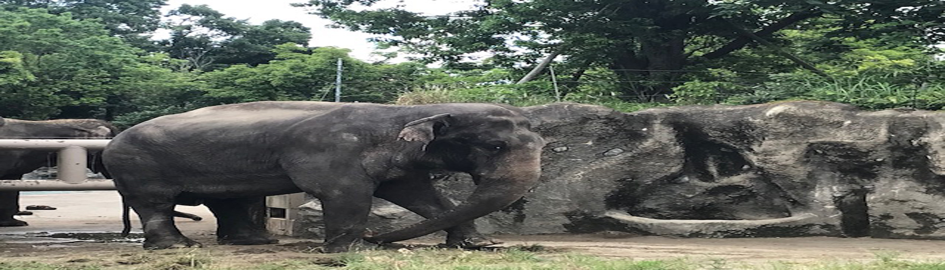 神奈川行政書士 事務所