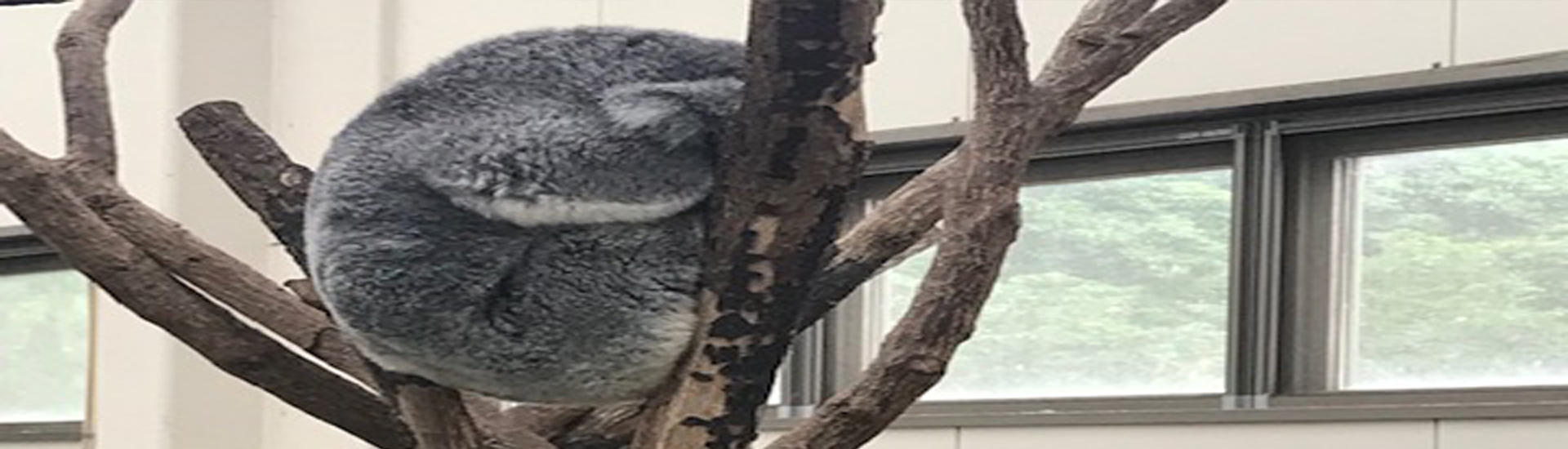 藤沢市行政書士