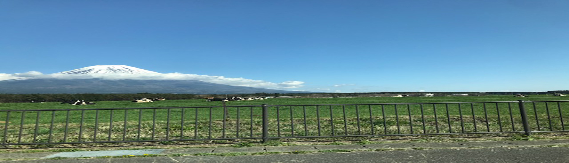 藤沢市行政書士